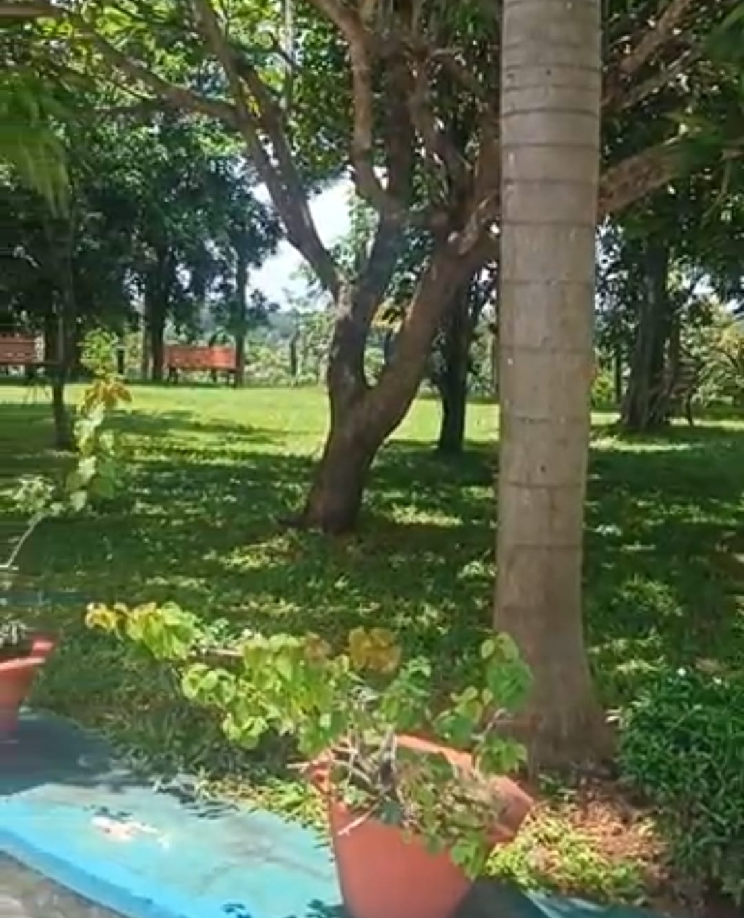 Land purchase (note these things )