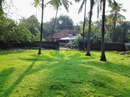 കൊച്ചിയിൽ എറണാകുളത്ത് ഭൂമി വിൽപ്പനയ്ക്ക് കൊച്ചിയിലെ റെസിഡൻഷ്യൽ ലാൻഡ്