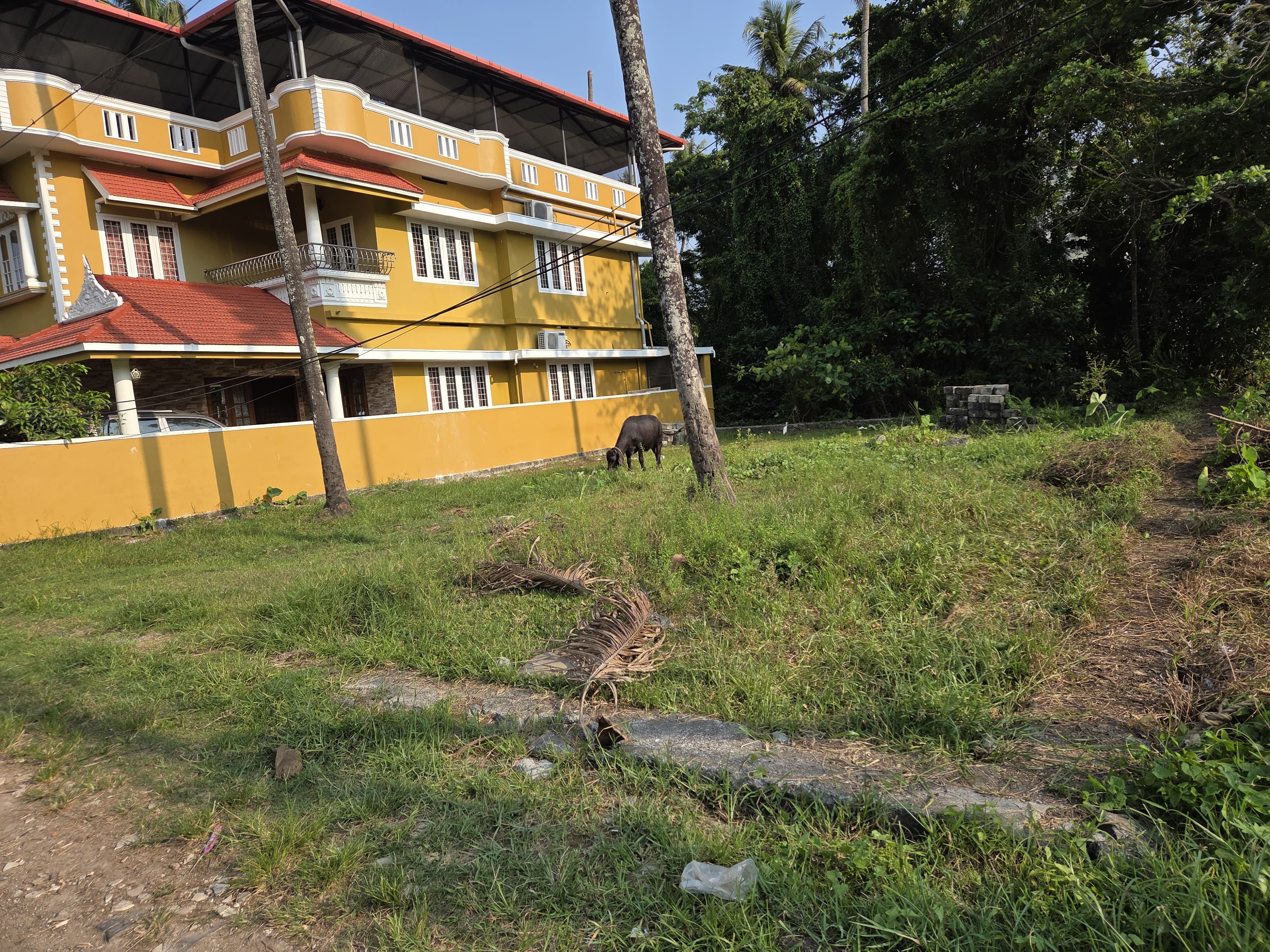 Land for sale at Elamakkara kousalya nagar