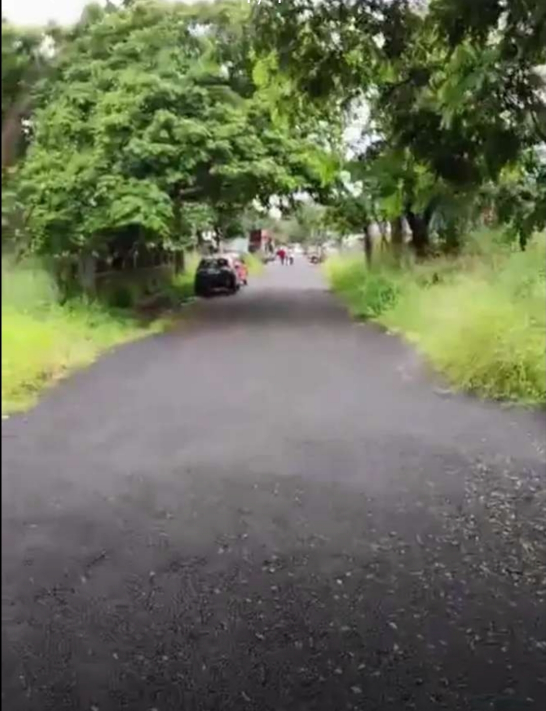 Land for sale near lakeshore hospital