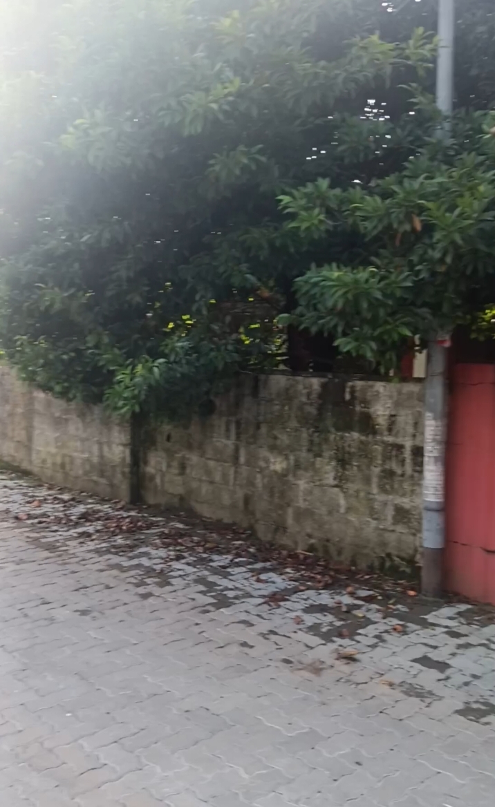 Land for sale kaloor
