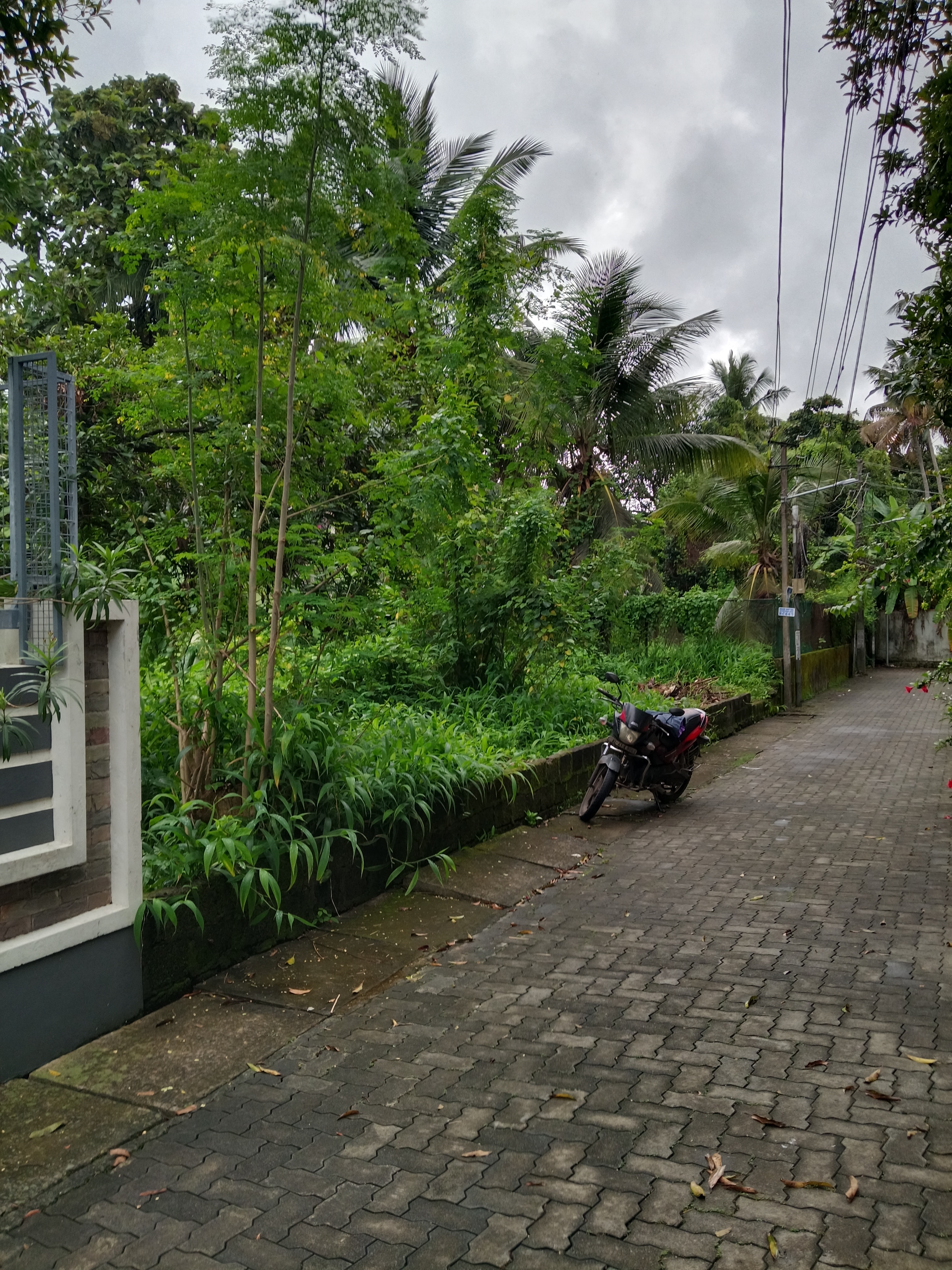 Land for sale at Elamakkara