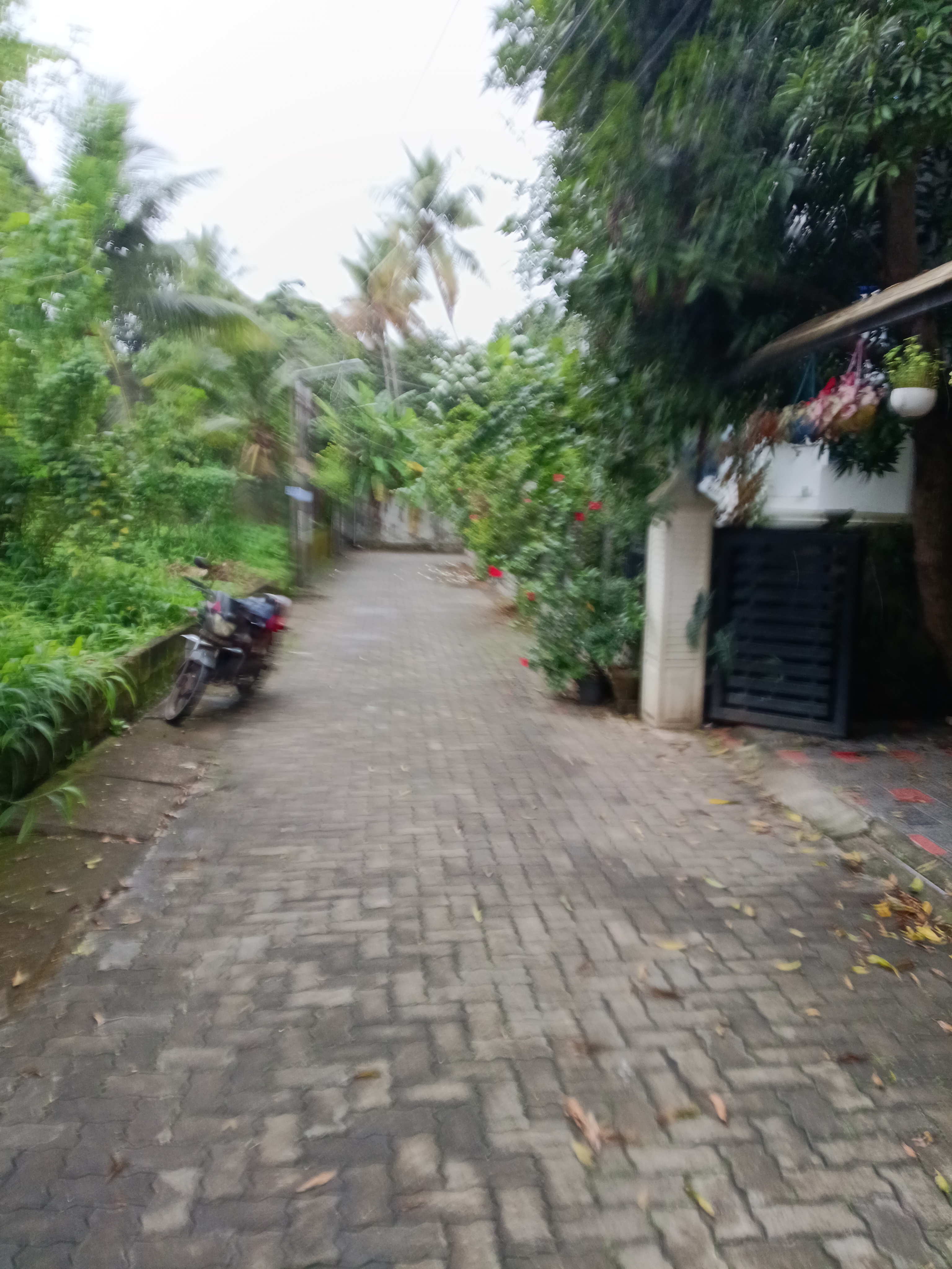 Land for sale at Elamakkara