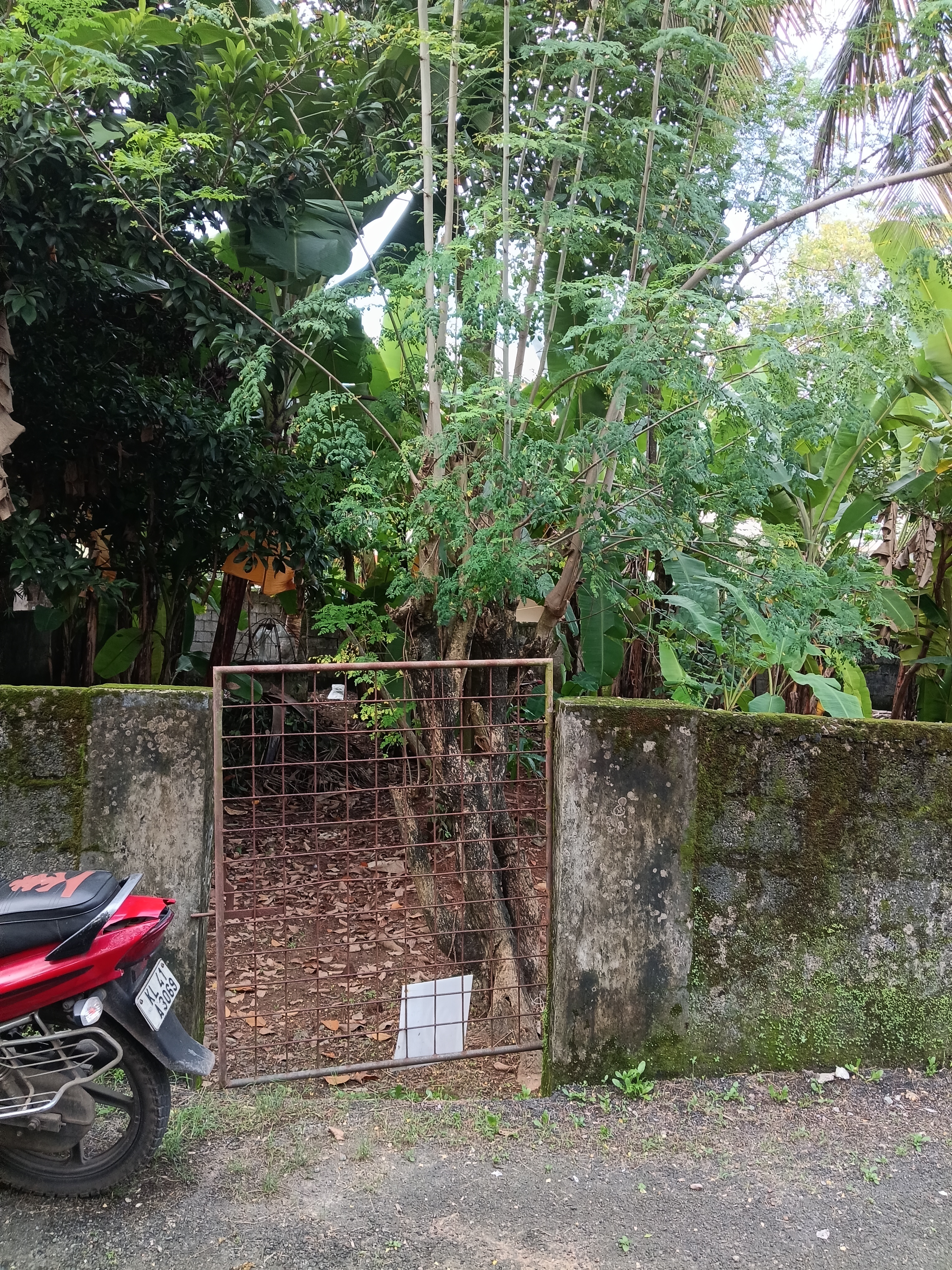Land for sale chakkaraparambu
