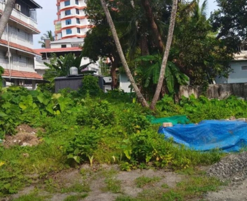 Commercial land for sale palarivattom bypass near