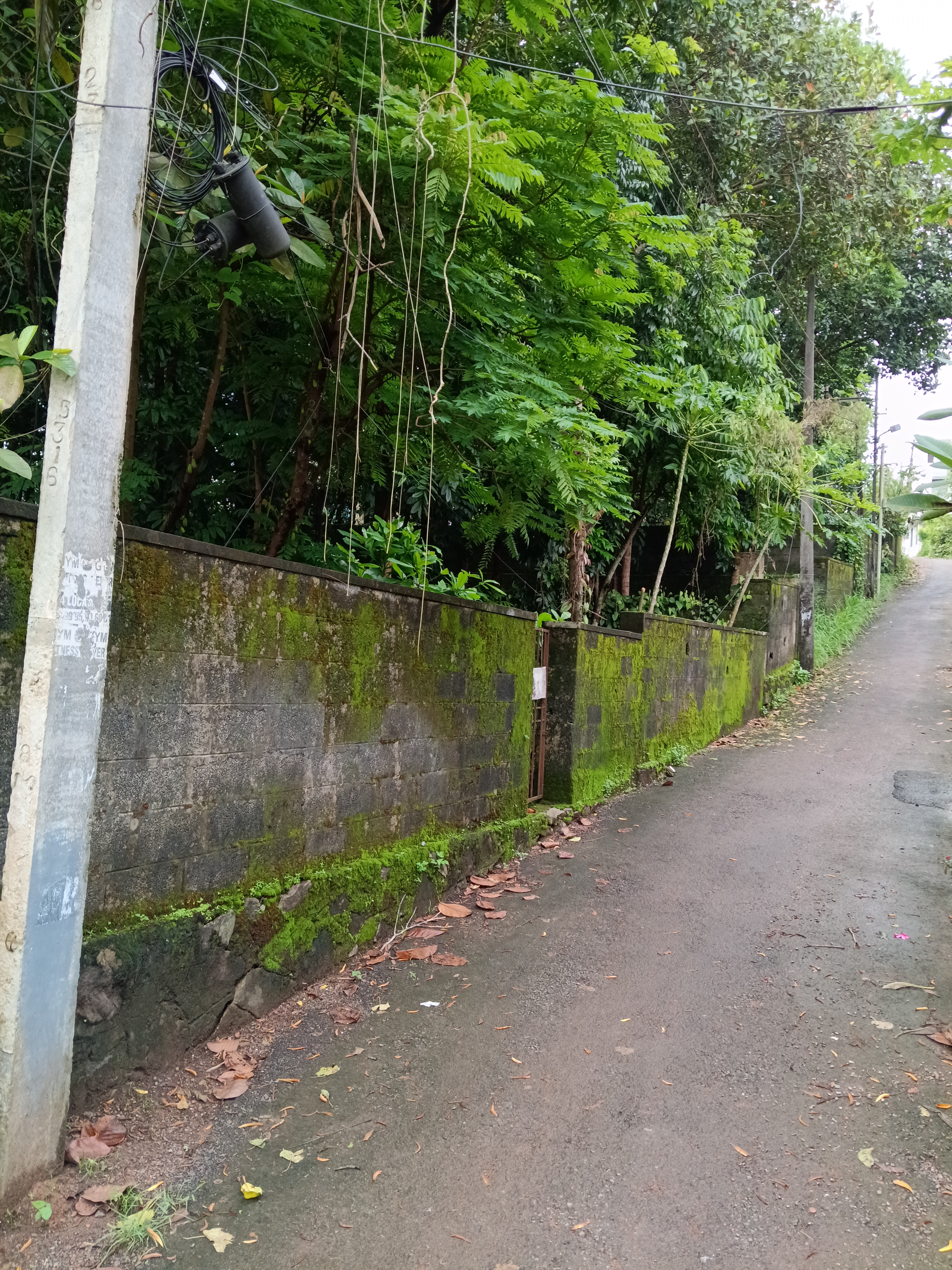 Residential land for sale padamugal U P school